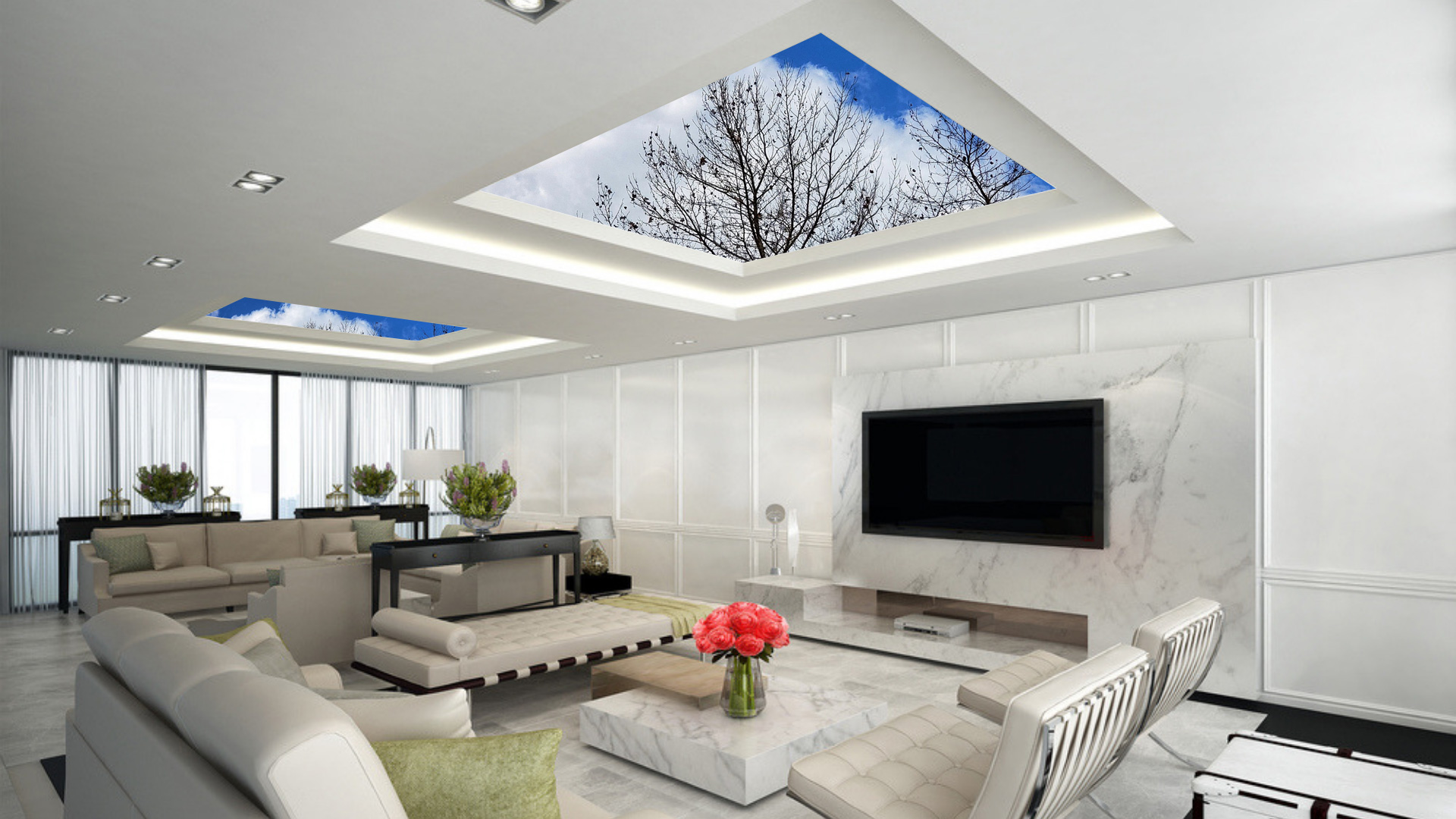 Ceiling Decorations